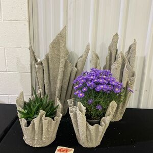 Live Show Listing $18